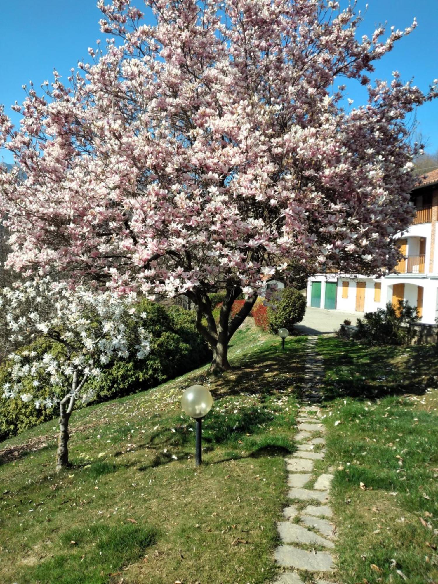 Appartamento A Due Passi Da Burcina Favaro Exteriör bild